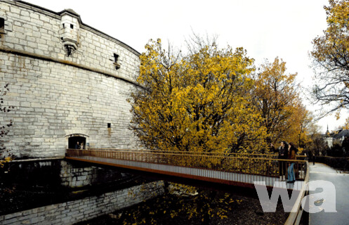 Neuerstellung Munotbrücke