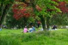 Auszeichnung in der Kategorie Freiräume für Menschen: Bürgerpark Lindau | Atelier Loidl Landschaftsarchitekten Berlin GmbH, Berlin | Foto: © Laura Loewel