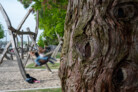 Auszeichnung in der Kategorie Freiräume für Menschen: Bürgerpark Lindau | Atelier Loidl Landschaftsarchitekten Berlin GmbH, Berlin | Foto: © Laura Loewel