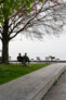 Auszeichnung in der Kategorie Freiräume für Menschen: Bürgerpark Lindau | Atelier Loidl Landschaftsarchitekten Berlin GmbH, Berlin | Foto: © Laura Loewel