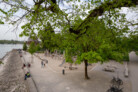 Auszeichnung in der Kategorie Freiräume für Menschen: Bürgerpark Lindau | Atelier Loidl Landschaftsarchitekten Berlin GmbH, Berlin | Foto: © Laura Loewel