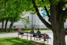 Auszeichnung in der Kategorie Freiräume für Menschen: Bürgerpark Lindau | Atelier Loidl Landschaftsarchitekten Berlin GmbH, Berlin | Foto: © Laura Loewel