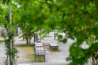 Auszeichnung in der Kategorie Freiräume für Menschen: Bürgerpark Lindau | Atelier Loidl Landschaftsarchitekten Berlin GmbH, Berlin | Foto: © Laura Loewel