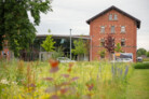 Auszeichnung in der Kategorie Pflanzenverwendung & Biodiversität: Nordpark III Plattling - Landschaftspark mit Campusareal  | BEM Burkhardt | Engelmayer | Mendel Landschaftsarchitekten Stadtplaner, München | Foto: © Laura Loewel