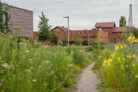 Auszeichnung in der Kategorie Pflanzenverwendung & Biodiversität: Nordpark III Plattling - Landschaftspark mit Campusareal  | BEM Burkhardt | Engelmayer | Mendel Landschaftsarchitekten Stadtplaner, München | Foto: © Laura Loewel