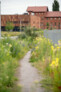 Auszeichnung in der Kategorie Pflanzenverwendung & Biodiversität: Nordpark III Plattling - Landschaftspark mit Campusareal  | BEM Burkhardt | Engelmayer | Mendel Landschaftsarchitekten Stadtplaner, München | Foto: © Laura Loewel