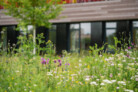 Auszeichnung in der Kategorie Pflanzenverwendung & Biodiversität: Nordpark III Plattling - Landschaftspark mit Campusareal  | BEM Burkhardt | Engelmayer | Mendel Landschaftsarchitekten Stadtplaner, München | Foto: © Laura Loewel