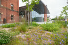 Auszeichnung in der Kategorie Pflanzenverwendung & Biodiversität: Nordpark III Plattling - Landschaftspark mit Campusareal  | BEM Burkhardt | Engelmayer | Mendel Landschaftsarchitekten Stadtplaner, München | Foto: © Laura Loewel