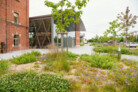 Auszeichnung in der Kategorie Pflanzenverwendung & Biodiversität: Nordpark III Plattling - Landschaftspark mit Campusareal  | BEM Burkhardt | Engelmayer | Mendel Landschaftsarchitekten Stadtplaner, München | Foto: © Laura Loewel