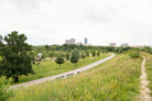 Gewinner Bayerischer Landschaftsarchitektur-Preis 2024: Oberwiesenfeldpark - Eine Symbiose aus Spiel, Sport und Naturschutz in München | mahl gebhard konzepte, München | Foto: © Laura Loewel