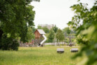 Gewinner Bayerischer Landschaftsarchitektur-Preis 2024: Oberwiesenfeldpark - Eine Symbiose aus Spiel, Sport und Naturschutz in München | mahl gebhard konzepte, München | Foto: © Laura Loewel