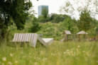 Gewinner Bayerischer Landschaftsarchitektur-Preis 2024: Oberwiesenfeldpark - Eine Symbiose aus Spiel, Sport und Naturschutz in München | mahl gebhard konzepte, München | Foto: © Laura Loewel