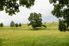 Gewinner Bayerischer Landschaftsarchitektur-Preis 2024: Oberwiesenfeldpark - Eine Symbiose aus Spiel, Sport und Naturschutz in München | mahl gebhard konzepte, München | Foto: © Laura Loewel