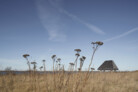 Naturpark Amager - Stadtwald | © Morten Aagaard Krogh