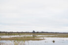 Naturpark Amager | © Morten Aagaard Krogh