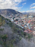 Finalist in the General category: Urban Forest. Tbilisi, Georgia | Ruderal | Image: ©Sarah Cowles