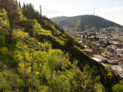 Finalist in the General category: Urban Forest. Tbilisi, Georgia | Ruderal | Image: ©Sarah Cowles