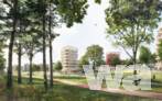 1. Preis: Schellenberg + Bäumler Architekten GmbH, Dresden | studio grüngrau Landschaftsarchitektur GmbH, Düsseldorf