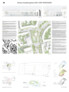 Anerkennung: Grüntuch Ernst Planungsgesellschaft mbH, Berlin | Levin Monsigny Landschaftsarchitekten GmbH, Berlin